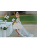 Long Sleeves Embroidered Lace Tulle High Low Flower Girl Dress